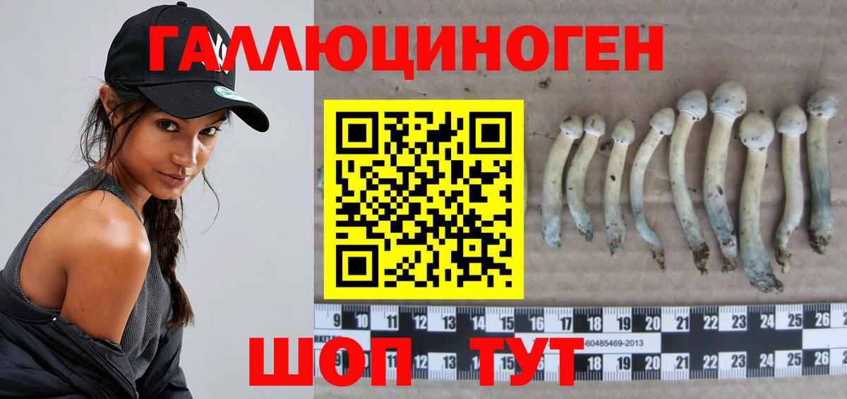 Галлюциногенные грибы прущие грибы Каменск-Шахтинский