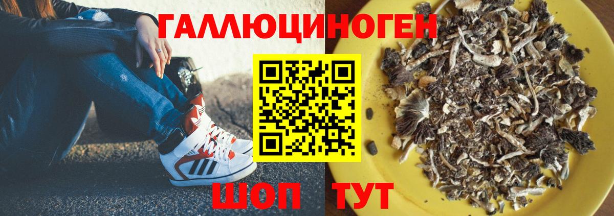 Каменск-Шахтинский  Галлюциногенные грибы прущие грибы  наркошоп  Вход с VPN 
